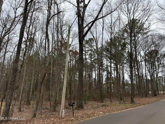 Residential Lot for Sale in Pearl, MS