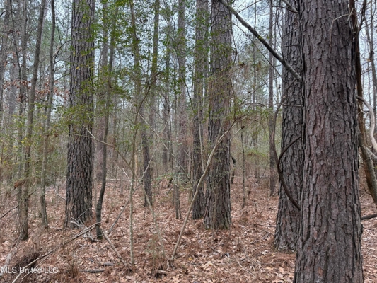 Residential Lot for Sale in Pearl, MS