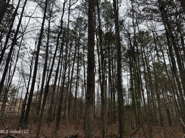 Listing 207