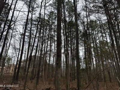 Residential Lot for Sale in Pearl, MS - image 6