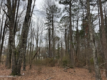 Listing 207