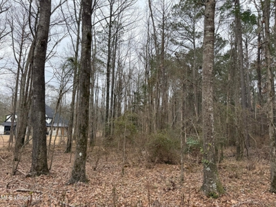Residential Lot for Sale in Pearl, MS - image 26