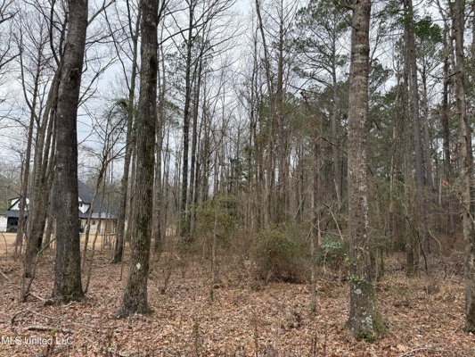 Residential Lot for Sale in Pearl, MS