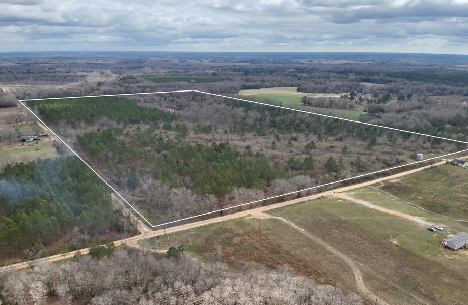 86± Acres with Pond in Slocomb, AL – Unrestricted Land