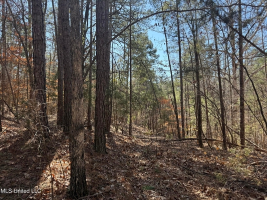 Hunting Land for Sale in Yalobusha County, MS