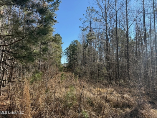 Hunting Land for Sale in Yalobusha County, MS