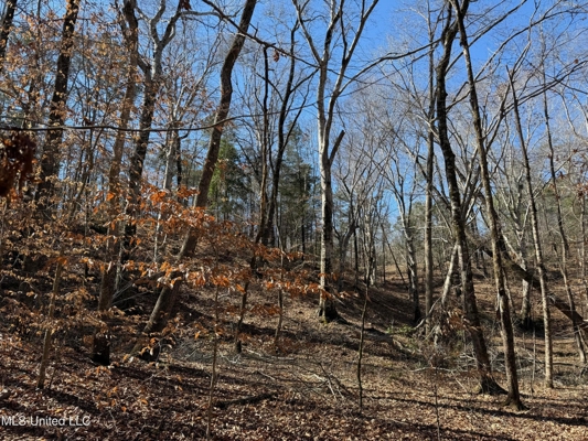 Hunting Land for Sale in Yalobusha County, MS