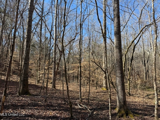Hunting Land for Sale in Yalobusha County, MS