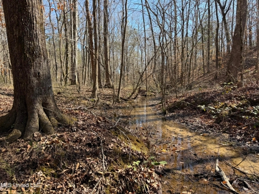 Hunting Land for Sale in Yalobusha County, MS