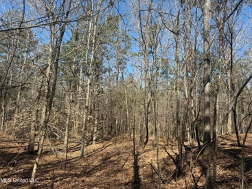 Listing 180