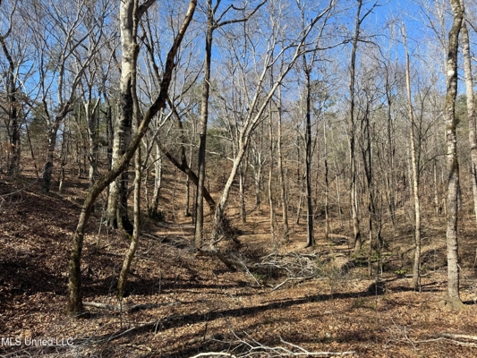 Hunting Land for Sale in Yalobusha County, MS