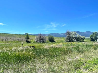 Land For Sale in Livingston, Montana - Prime Location! - image 8