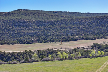 3 Parcels For Sale Income Hay Producing with Irrigation - image 11