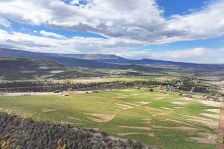 3 Parcels For Sale Income Hay Producing with Irrigation - image 1