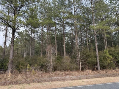 21 Acres Timberland & Hunting Near New Bern, NC - image 14