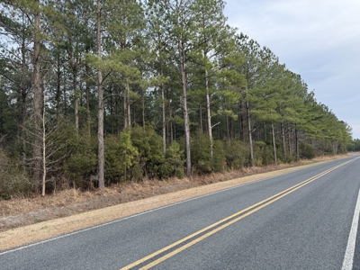 21 Acres Timberland & Hunting Near New Bern, NC - image 13