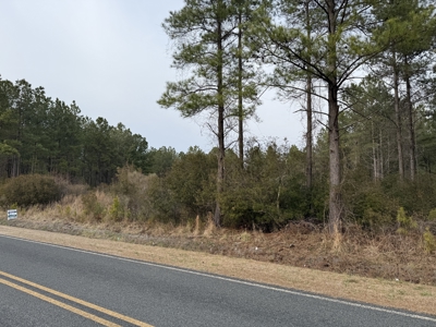 21 Acres Timberland & Hunting Near New Bern, NC - image 15