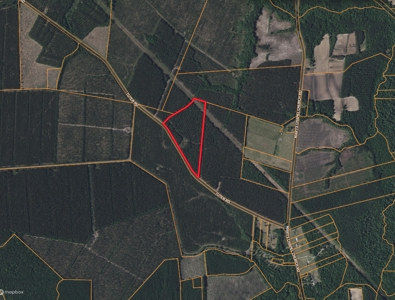 21 Acres Timberland & Hunting Near New Bern, NC - image 17