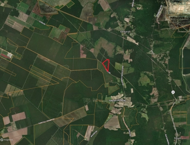 21 Acres Timberland & Hunting Near New Bern, NC - image 18