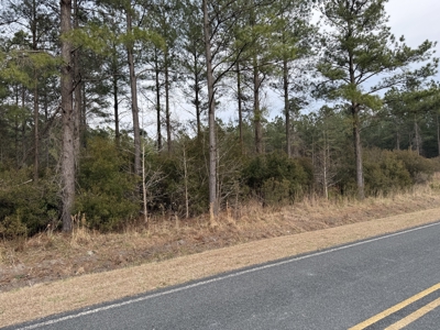 21 Acres Timberland & Hunting Near New Bern, NC - image 10