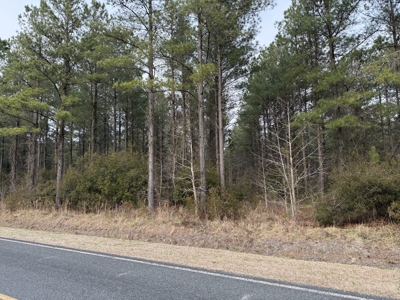 21 Acres Timberland & Hunting Near New Bern, NC - image 8