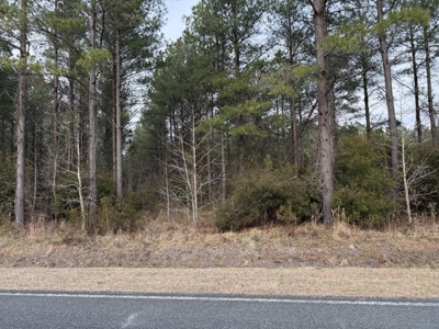21 Acres Timberland & Hunting Near New Bern, NC - image 9