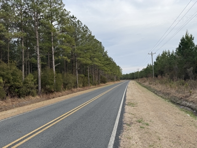 21 Acres Timberland & Hunting Near New Bern, NC - image 12