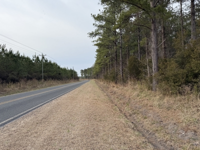 21 Acres Timberland & Hunting Near New Bern, NC - image 6