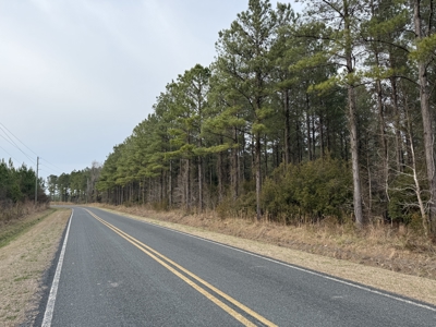 21 Acres Timberland & Hunting Near New Bern, NC - image 7
