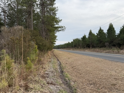 21 Acres Timberland & Hunting Near New Bern, NC - image 5