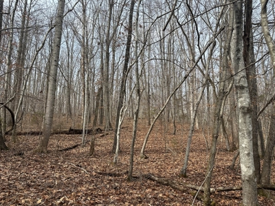 Prospect Perch: Secluded Hardwood Haven Near Farmville, VA - image 11