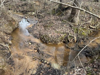 Prospect Perch: Secluded Hardwood Haven Near Farmville, VA - image 7