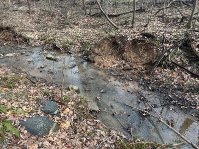 Prospect Perch: Secluded Hardwood Haven Near Farmville, VA - image 12