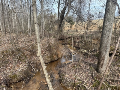 Prospect Perch: Secluded Hardwood Haven Near Farmville, VA - image 8