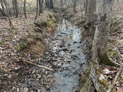 Prospect Perch: Secluded Hardwood Haven Near Farmville, VA - image 10