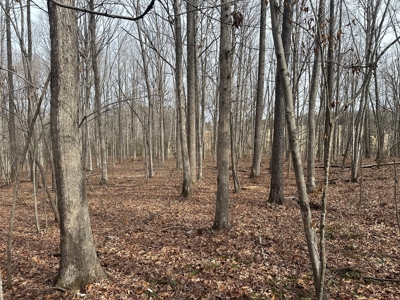 Prospect Perch: Secluded Hardwood Haven Near Farmville, VA - image 18
