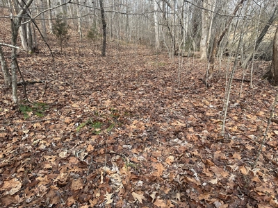 Prospect Perch: Secluded Hardwood Haven Near Farmville, VA - image 9