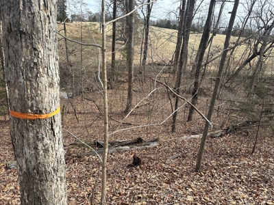 Prospect Perch: Secluded Hardwood Haven Near Farmville, VA - image 13