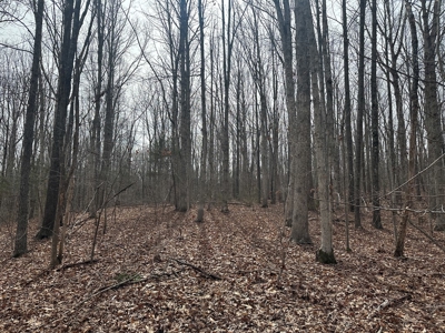 Prospect Perch: Secluded Hardwood Haven Near Farmville, VA - image 14
