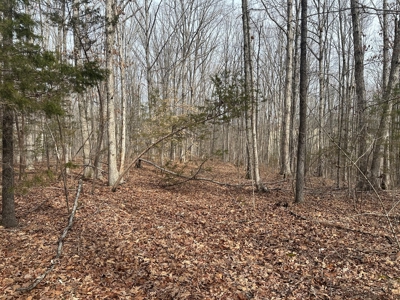 Prospect Perch: Secluded Hardwood Haven Near Farmville, VA - image 21