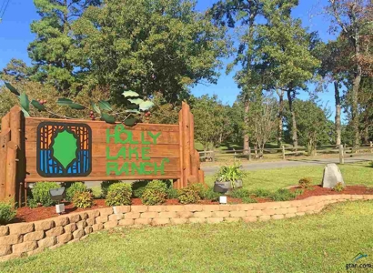 Golf Course Home in Holly Lake Ranch, Texas For Sale - image 40