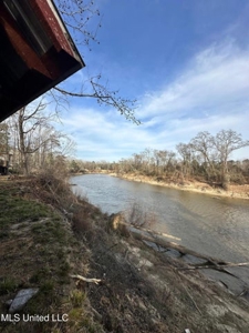 Cabin Fronts the Pearl River Lawrence County Mississippi - image 3