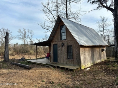 Cabin Fronts the Pearl River Lawrence County Mississippi - image 2