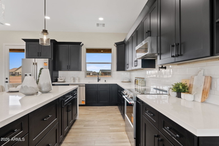 Horse-Ready New Construction in Casa Grande AZ - image 4