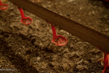 Tylertown, MS 6-House Poultry Broiler Farm - image 26