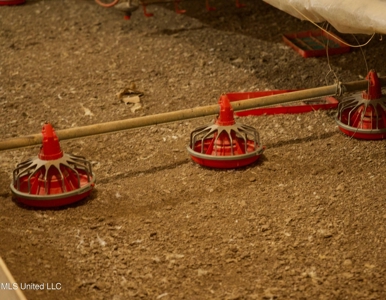 Tylertown, MS 6-House Poultry Broiler Farm - image 27