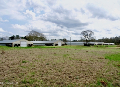 Tylertown, MS 6-House Poultry Broiler Farm - image 1