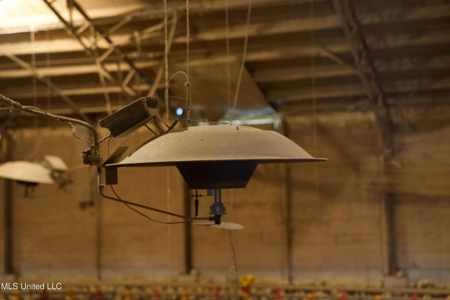 Tylertown, MS 6-House Poultry Broiler Farm - image 28