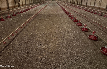Tylertown, MS 6-House Poultry Broiler Farm - image 13
