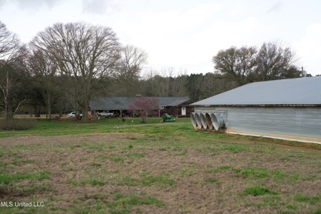 Tylertown, MS 6-House Poultry Broiler Farm - image 23